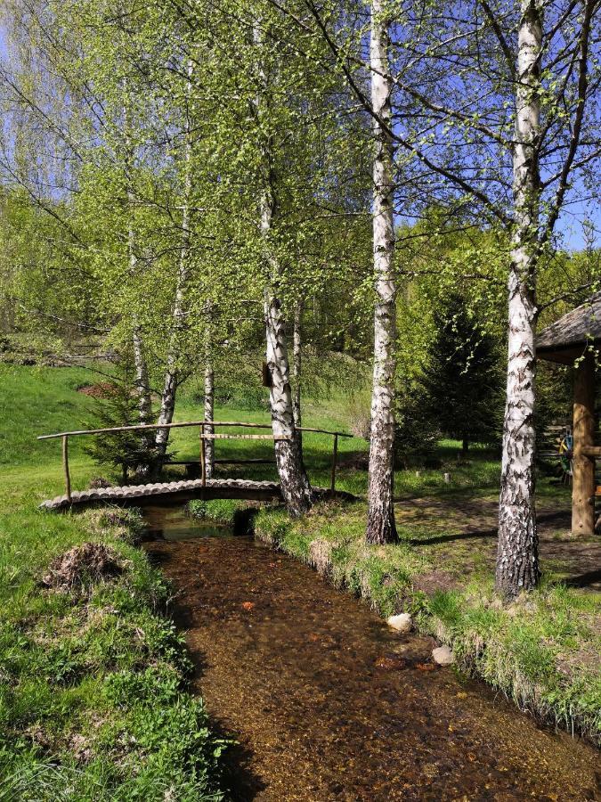 Sky Cabin Apartments Kopaonik Kültér fotó