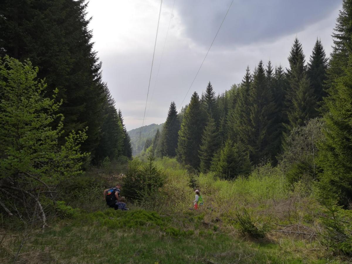 Sky Cabin Apartments Kopaonik Kültér fotó